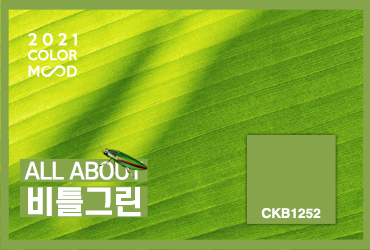 2021 컬러무드_03 BEETLES GREEN [CKB1252]